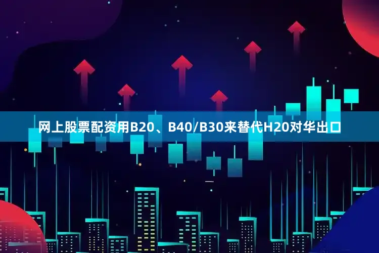 网上股票配资用B20、B40/B30来替代H20对华出口