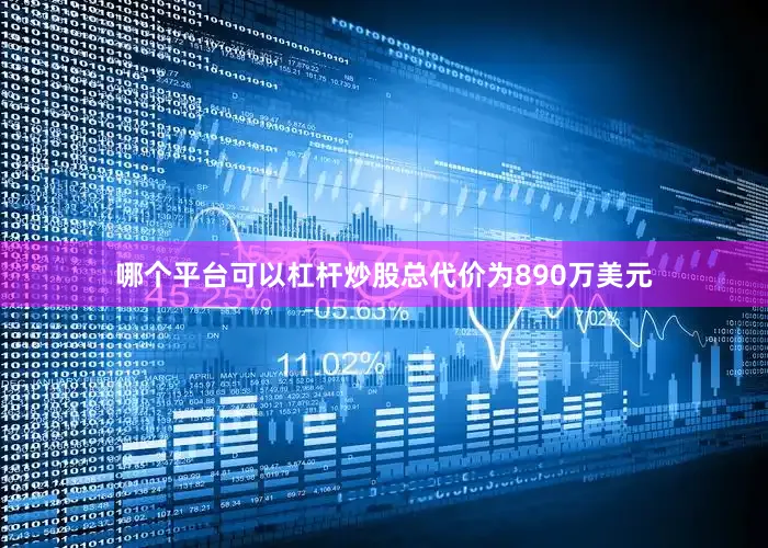 哪个平台可以杠杆炒股总代价为890万美元