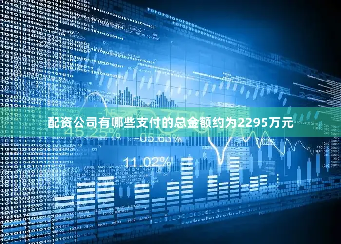 配资公司有哪些支付的总金额约为2295万元